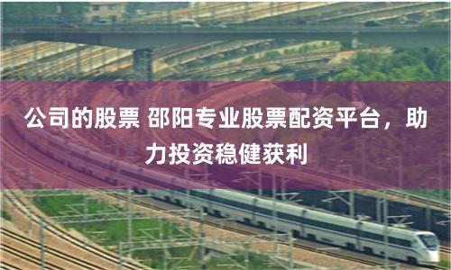 公司的股票 邵阳专业股票配资平台，助力投资稳健获利